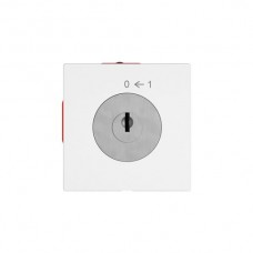 Schwenktaster EDIZIO.liv SNAPFIX® 0<-1/2P mit Schloss & 2 Schlüsseln weiss G A SS