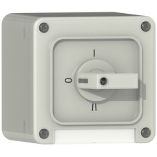 AP-Nass-Drehschalter,2/1L,grau ABB,Supra,NAP,25A,250V,90°