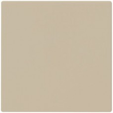 Druckknopf kallysto beige 40x40mm für babyswitch/Tastdimmer