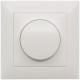 Insta, se Lightmanagement, Max Hauri und weitere Insta, se Lightmanagement, Max Hauri und weitere