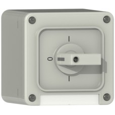 AP-Nass-Drehschalter,0/2L,grau ABB,Supra,NAP,25A,250V,90°