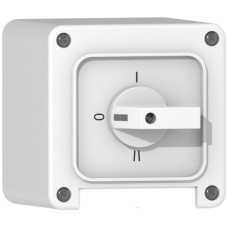 AP-Nass-Drehschalter,2/1L, weiss ABB,Supra,NAP,25A,250V,90°