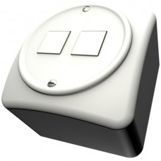 AP-Dose CECOFLEX Standard für 2×RJ45 Keystone