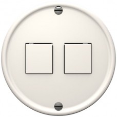 Dose CECOFLEX Standard für 2×RJ45 Keystone