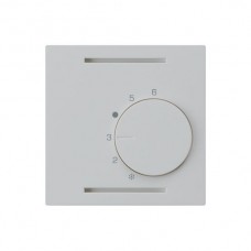 Raumthermostat,24V,hellgrau Einsatz kallysto,ohne Schalter,60x60