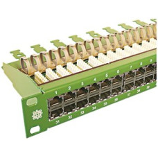 Panel 19" ISDN/TT 1HE 60 Buchsen grün