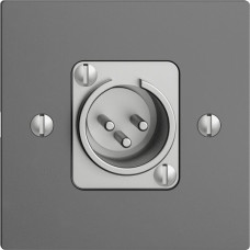 UP-Dose mit XLR-Stecker EDIZIOdue dunkelgrau