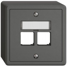 AP-Abdeckset EDIZIO.liv EASYNET S-One SNAPFIX gerade 2xRJ45 dunkelgrau