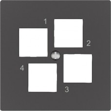 Montageset EDIZIO.liv EASYNET S-One SNAPFIX gerade 4xRJ45 dunkelgrau Montageset EDIZIO.liv EASYNET S-One SNAPFIX gerade 4xRJ45 dunkelgrau