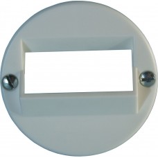 Frontscheibe ITplus 2xRJ45 weiss 43mm schräg PMI/JK