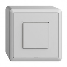 AP-Druckschalter 1K/1T WLAN EDIZIOdue Wiser hellgrau FX AP-Druckschalter 1K/1T WLAN EDIZIOdue Wiser hellgrau FX