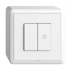 AP-Druckschalter 1K/2T Szene WLAN EDIZIOdue Wiser weiss FX
