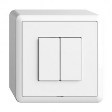 AP-Druckschalter 2K/2T WLAN EDIZIOdue Wiser weiss FX