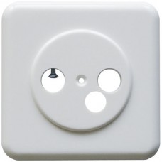 Deckplatte weiss Standardausführung zu Wisi DD-Datendose DW52 einteilig