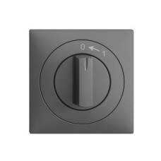 Frontset EDIZIOdue 0<-1 dunkelgrau 60×60mm für Drehschalter