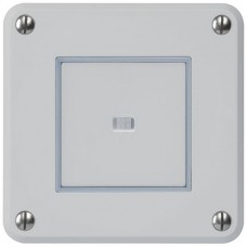 Nass-L-Drucktaster A-R/1L lichgrau Einsatz robusto Linse LED gelb