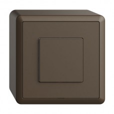 AP-Nebenstelle zu Druckschalter1K/1T EDIZIOdue Wiser coffee FX