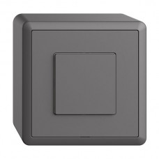AP-Nebenstelle zu Druckschalter 1K/1T WLAN EDIZIOdue Wiser dunkelgrau FX AP-Nebenstelle zu Druckschalter 1K/1T WLAN EDIZIOdue Wiser dunkelgrau FX