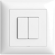 UP-Nebenstelle zu Druckschalter 2K/2T WLAN EDIZIOdue Wiser weiss FMI
