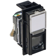 Datendose Living Now Kategorie 5E UTP 1 Modul schwarz