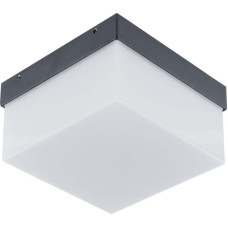LED Wandanbauleuchte IP54 4000K anthrazit