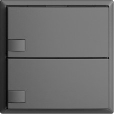UP-Universaltaster 2x1T EDIZIOdue dunkelgrau ohne LED