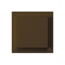 Drucktaster,A-R/2L,braun Einsatz,kallysto,10A,60x60mm