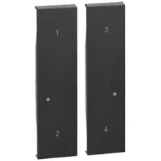 Abdeckung Living Now with Netatmo 2 Module für Funk-Szenentaster schwarz