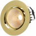 EB-LED-Spot maxLUCE AXO 10.5W 230V DIM 830lm 927 Loch-Ø80mm 38° IP44 gold