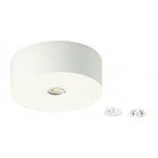 AP-LED-Sicherheitsleuchte AWIL-DL-421-AT Ø100mm 3.7W 230VAC 1h 240lm