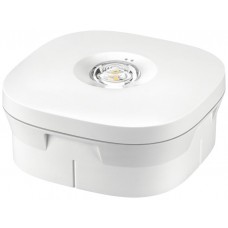LED-Sicherheitsleuchte Tridonic R2A SELFTEST 3W 1h BS Selbsttest weiss