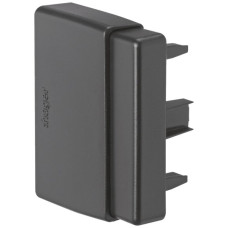 Endplatte Hager tehalit.LF 60x30mm schwarz IP30