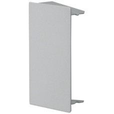 Endplatte Hager tehalit.LFS 100x60mm Zink IP30