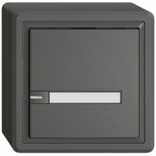AP-Universaltaster EDIZIO.liv UNI SNAPFIX 12-48V mit LED blau 1x 1-Tastenbedienung Papier dunkelgrau