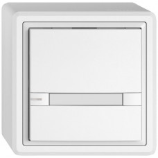AP-Universaltaster EDIZIO.liv UNI SNAPFIX 12-48V mit LED blau 1x 2-Tastenbedienung Papier weiss