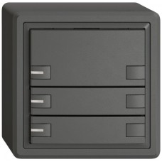 AP-Universaltaster EDIZIO.liv UNI SNAPFIX 12-48V mit LED blau 3x 2-Tastenbedienung dunkelgrau