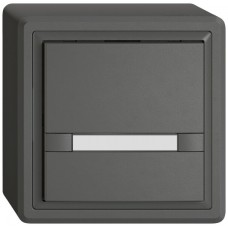 AP-Universaltaster EDIZIO.liv UNI SNAPFIX 12-48V ohne LED 1x 2-Tastenbedienung Papier dunkelgrau GX