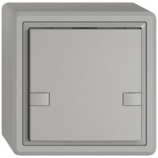 AP-Universaltaster EDIZIO.liv UNI SNAPFIX 12-48V ohne LED 1x 2-Tastenbedienung hellgrau GX