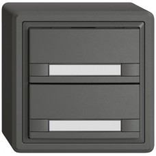 AP-Universaltaster EDIZIO.liv UNI SNAPFIX 12-48V ohne LED 2x Papier dunkelgrau GX