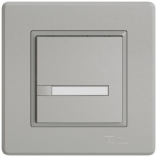UP-Universaltaster EDIZIO.liv UNI SNAPFIX ohne LED 1x 1-Tastenbedienung Papier hellgrau GMI A P