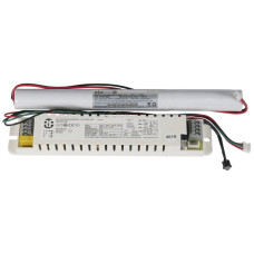 Notlicht-Element WRLED013AT ≤4VA 12-55VDC mit Akku 3h